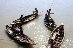 Fishing
