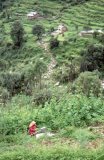 Almora District - 1990s