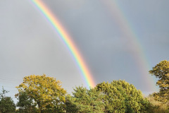 Rainbows-Tanglewood-2
