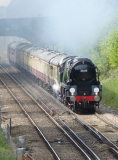 Steam locos at Botley
