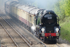 Steam locos at Botley