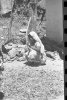 Sirumalai-80-056