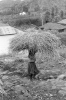 Sirumalai-80-199