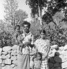 Sirumalai-80-283