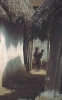 Sirumalai-80-024