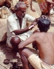 Sirumalai-80-037