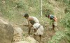 Sirumalai-80-049