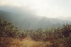 Sirumalai-80-054