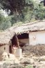 Velli-1-and-mother