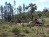 Paliyar-huts