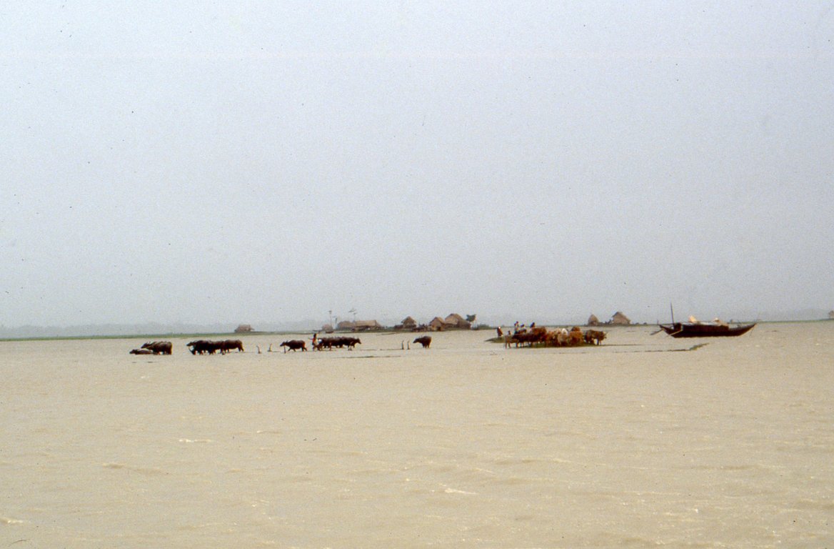 Bangladesh011