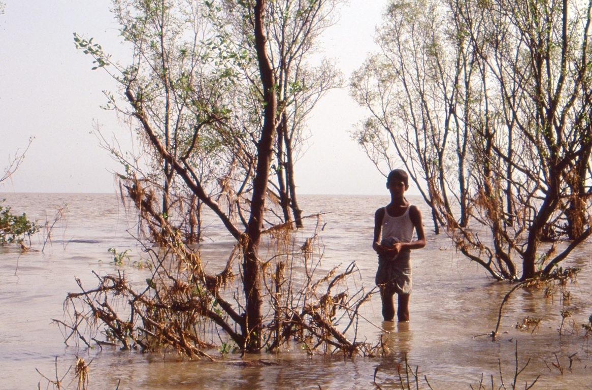 Bangladesh032