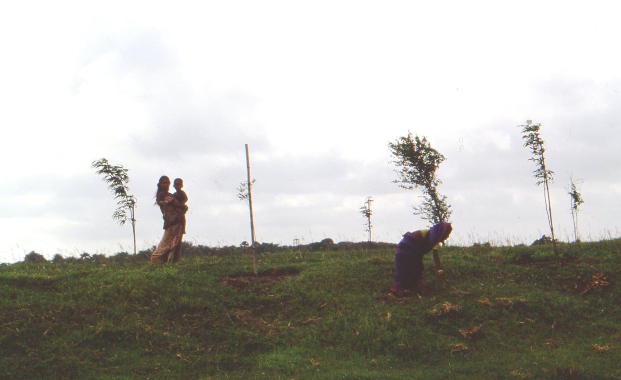 Bangladesh038