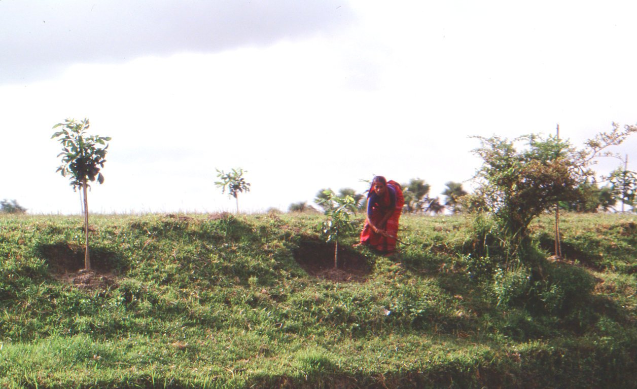 Bangladesh039