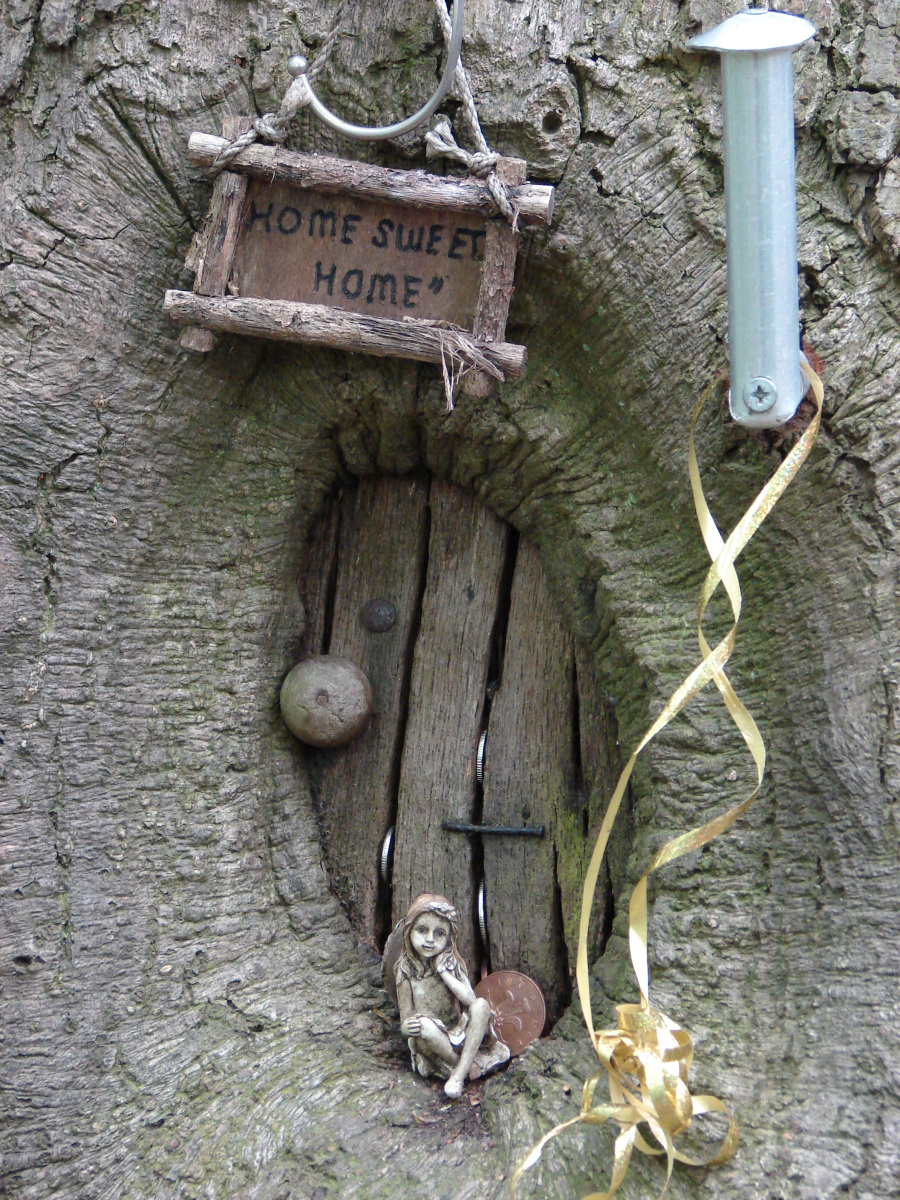 Fairy-Curbridge-wood-2009
