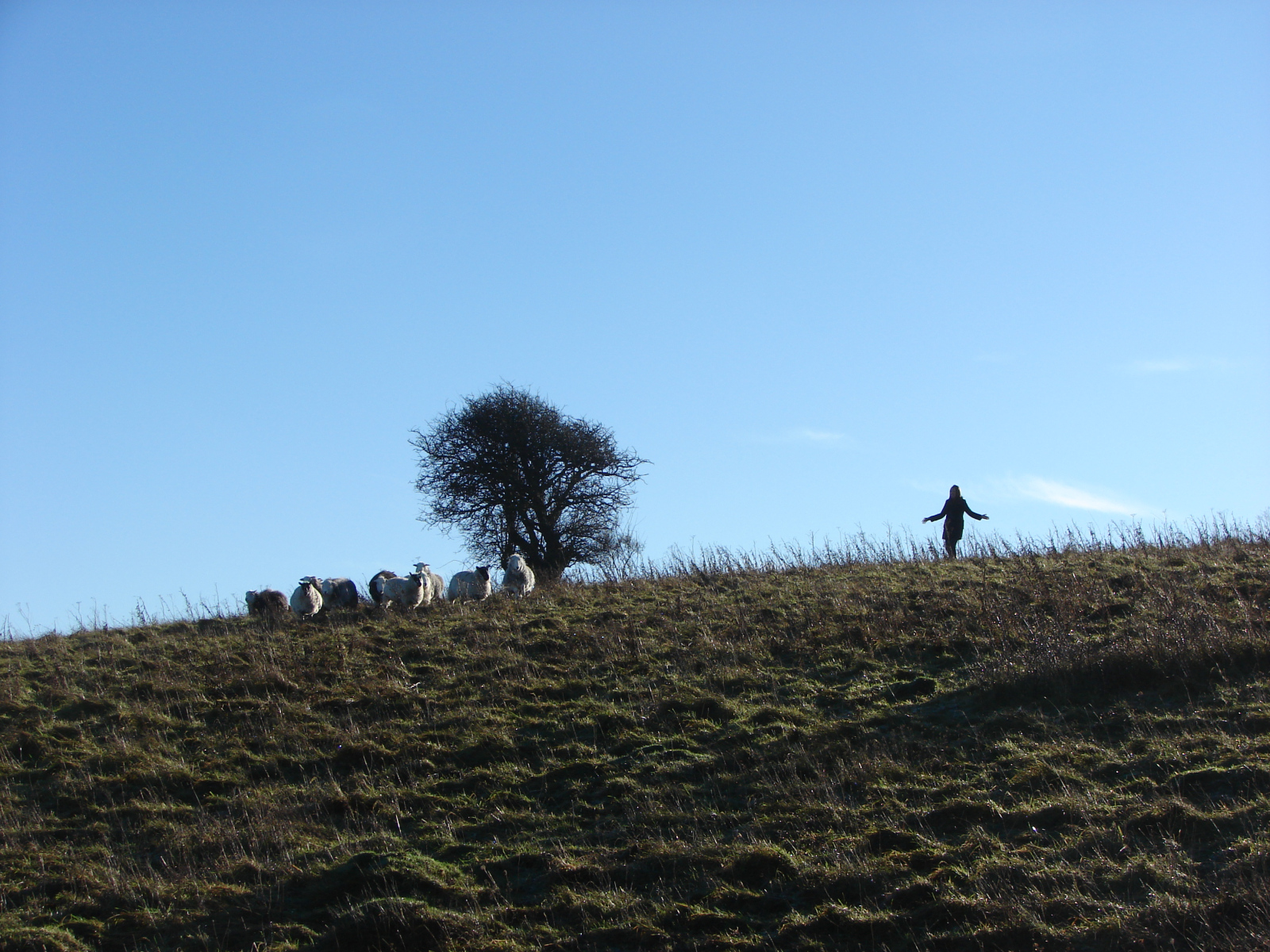 Old-Winchester-Hill-2013