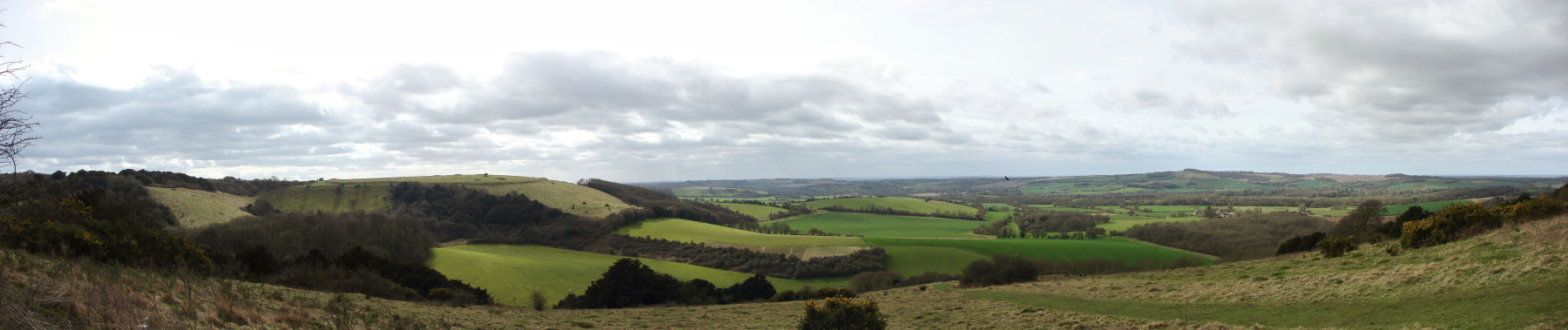 Old-Winchester-Hill-Beacon-Hill-03-2017
