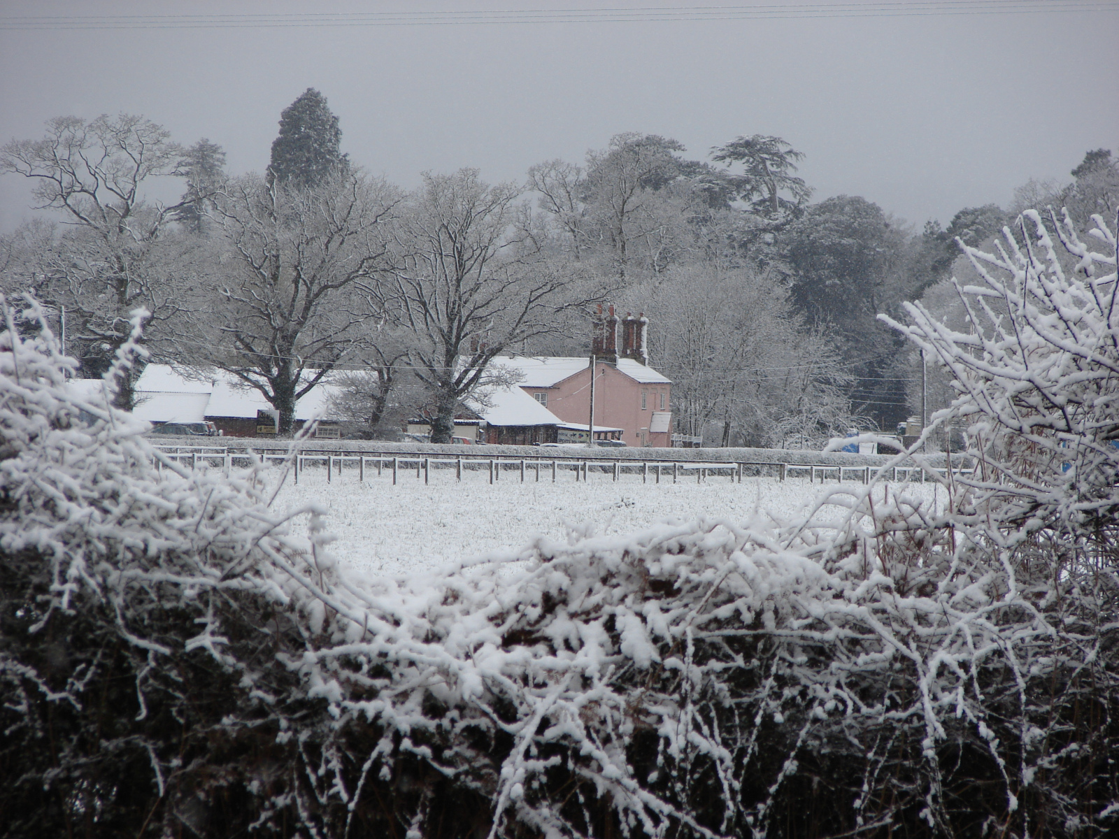 Pinkmead-farm-2008