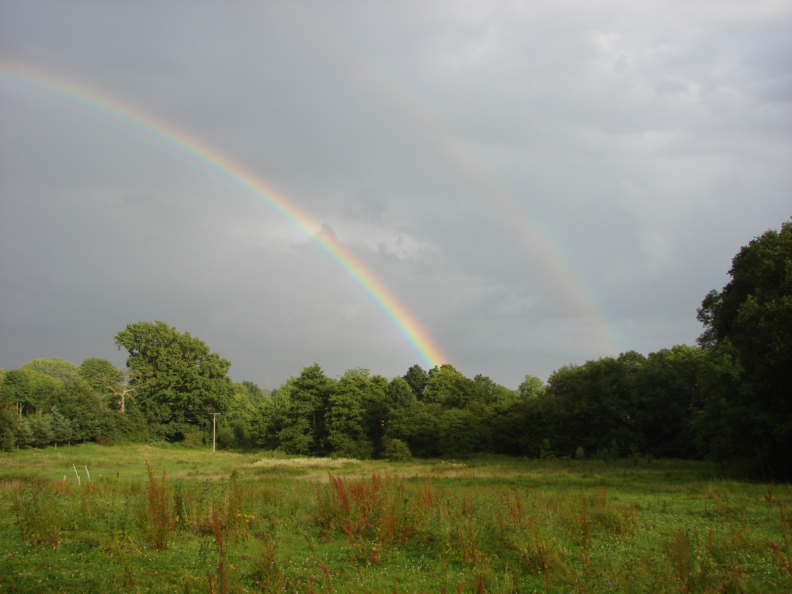 Rainbow-1