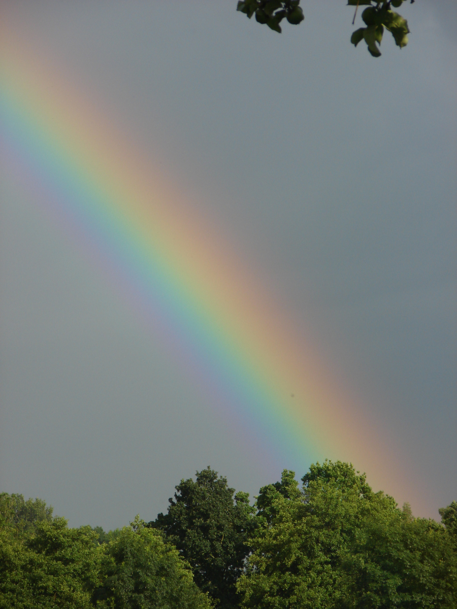 Rainbow