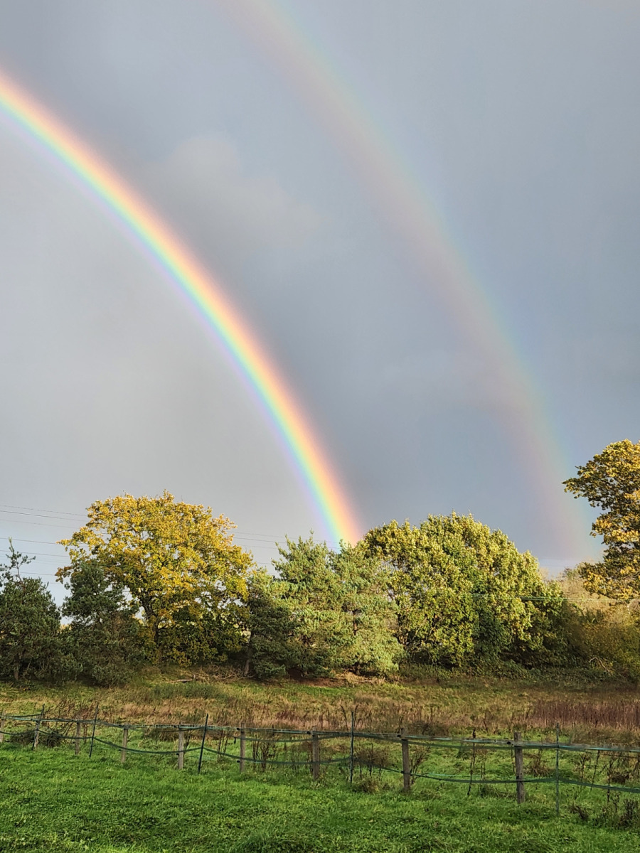 Rainbows-Tanglewood-2