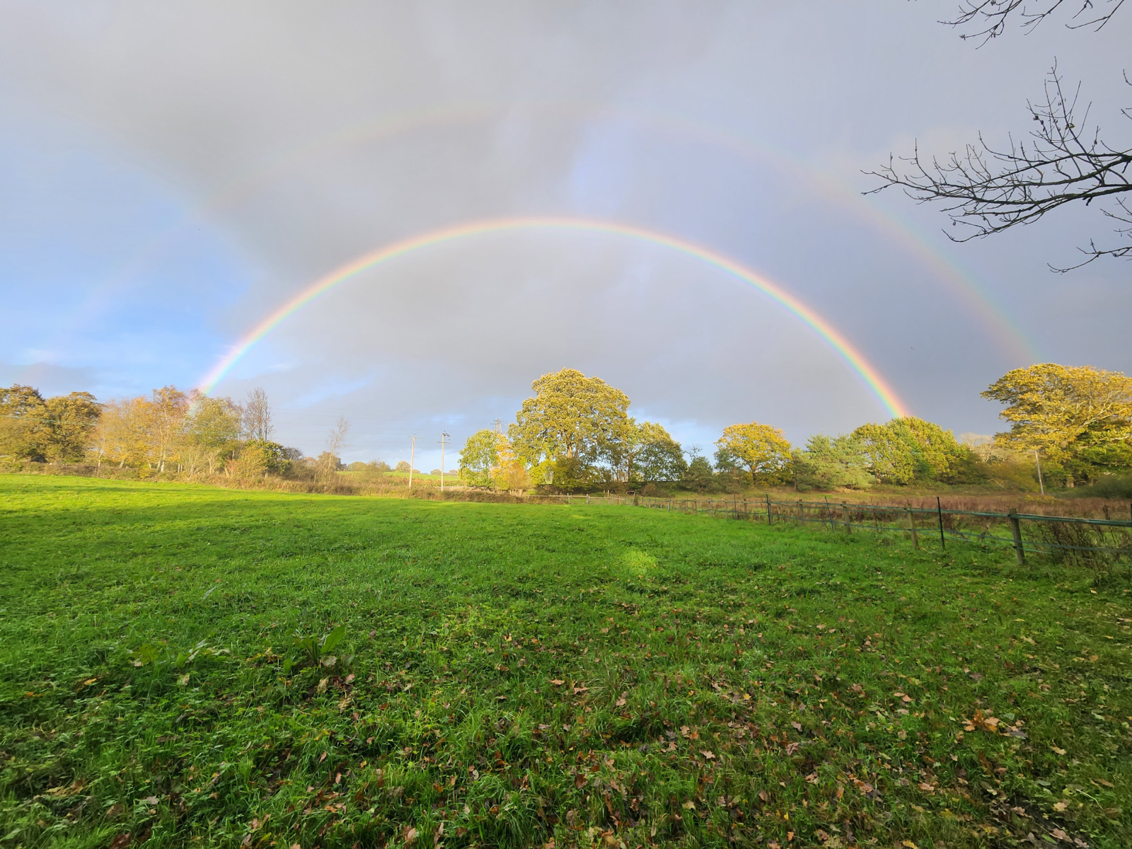Rainbows-Tanglewood