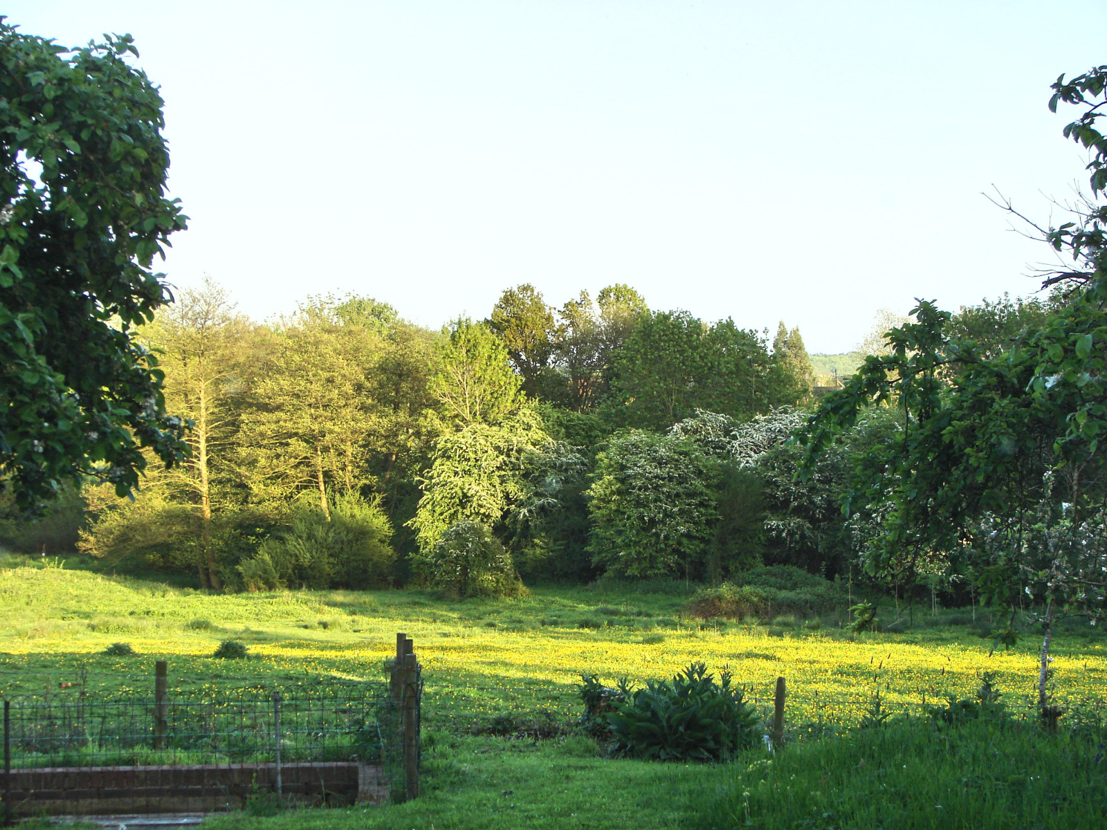 Tanglewood-view-2015