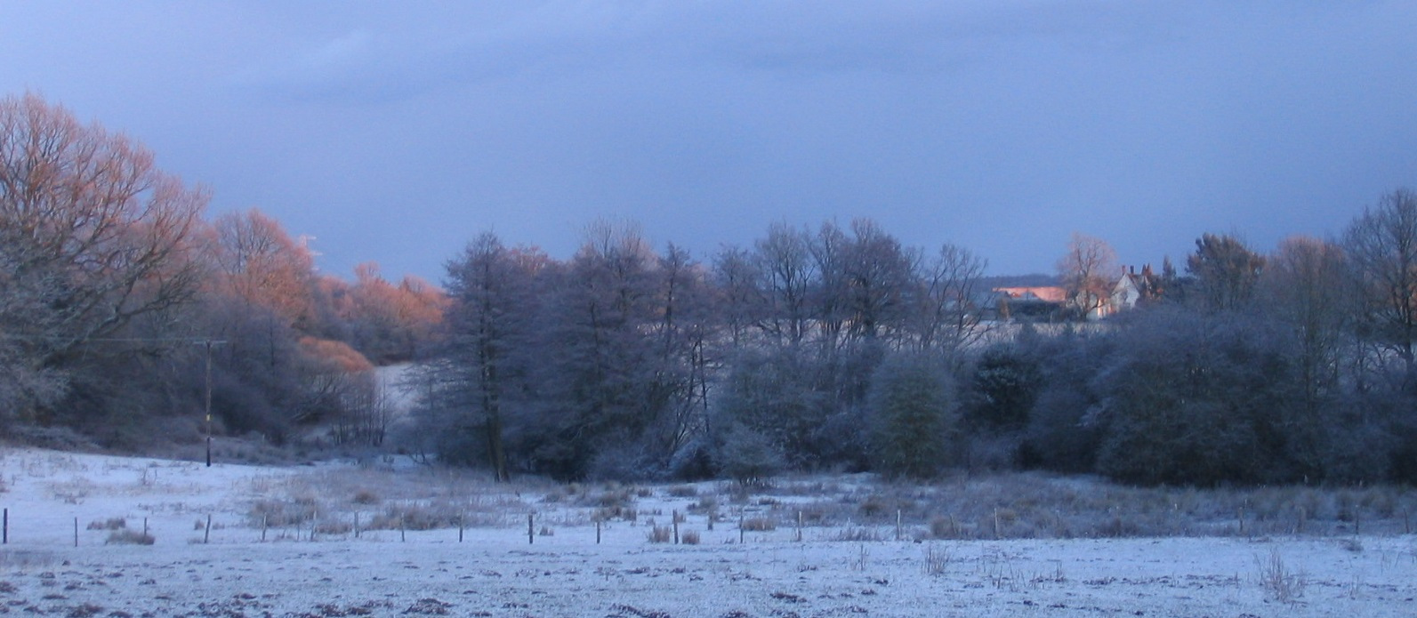 Tanglewood-view
