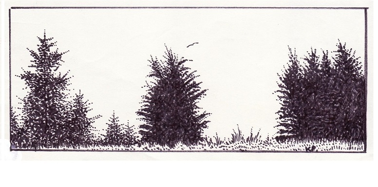 1_DK-1974