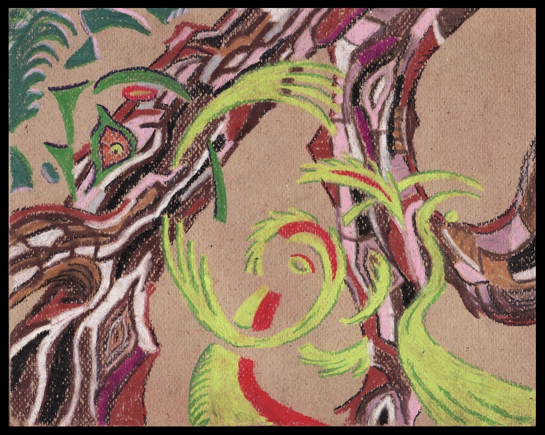 Vegetation-1972